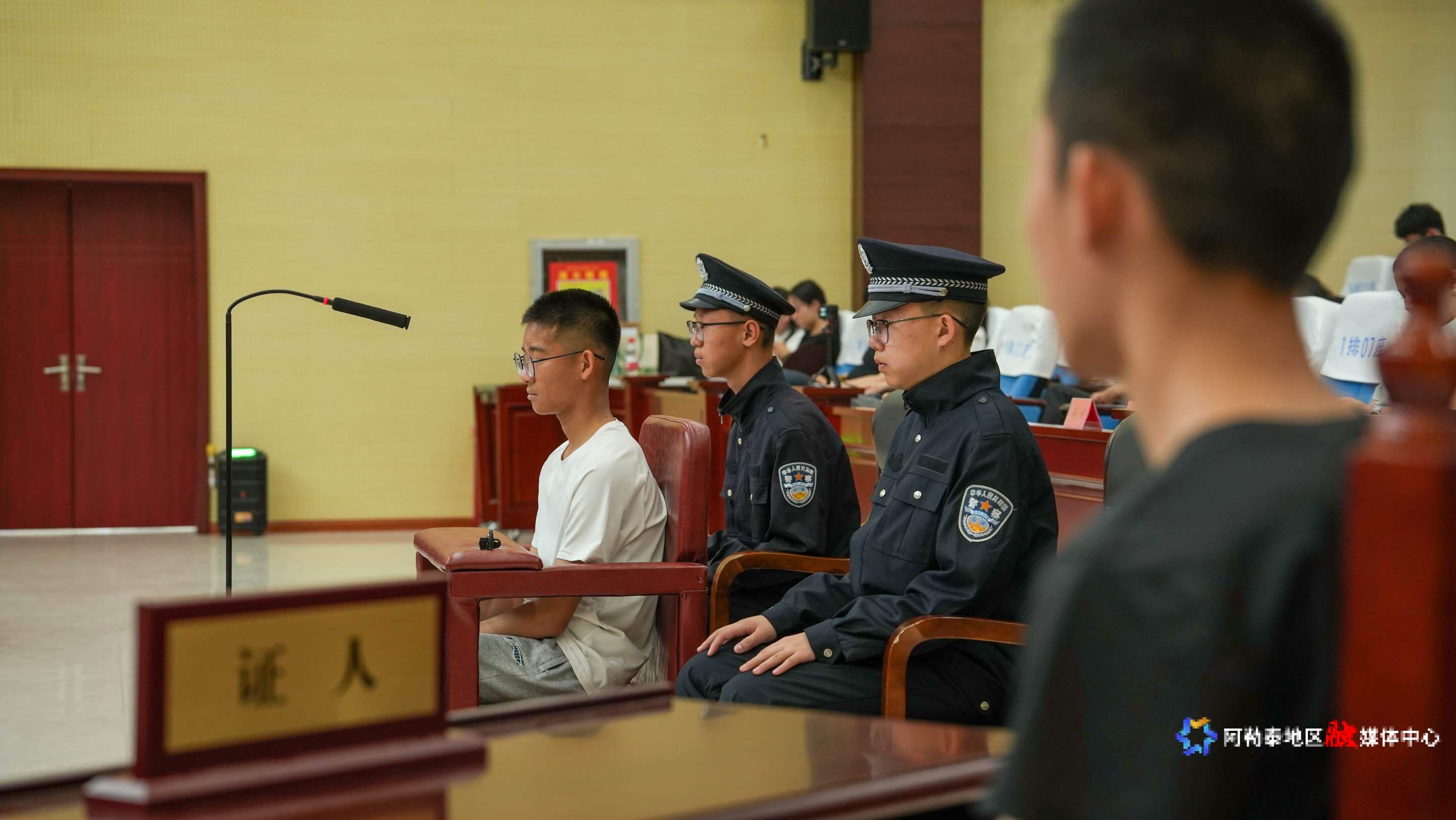 mmexport1749720012413