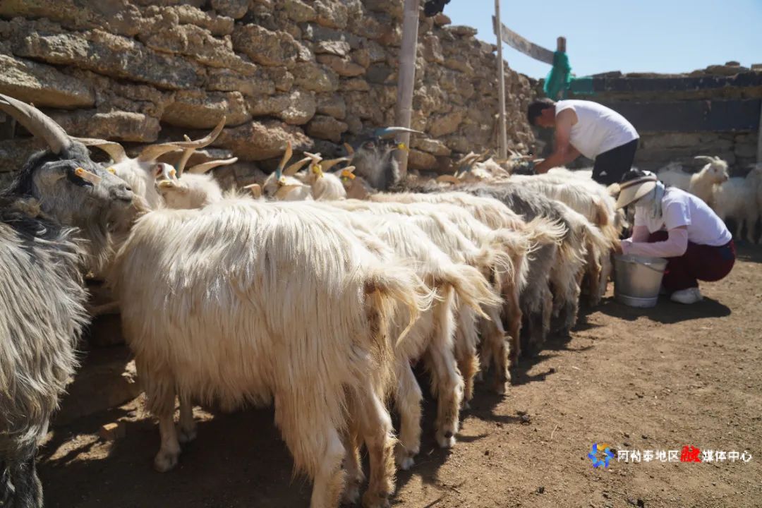 mmexport1751373435931